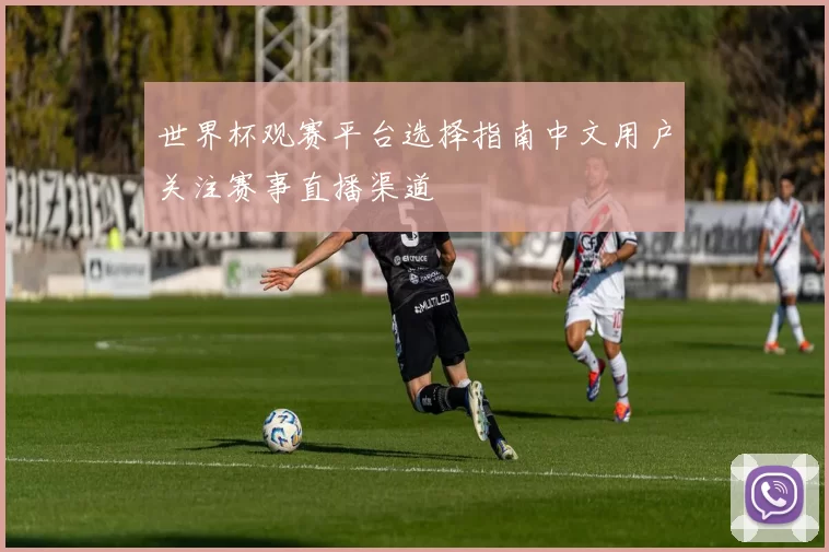 世界杯观赛平台选择指南中文用户关注赛事直播渠道