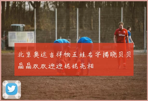 北京奥运吉祥物五娃名字揭晓贝贝晶晶欢欢迎迎妮妮亮相