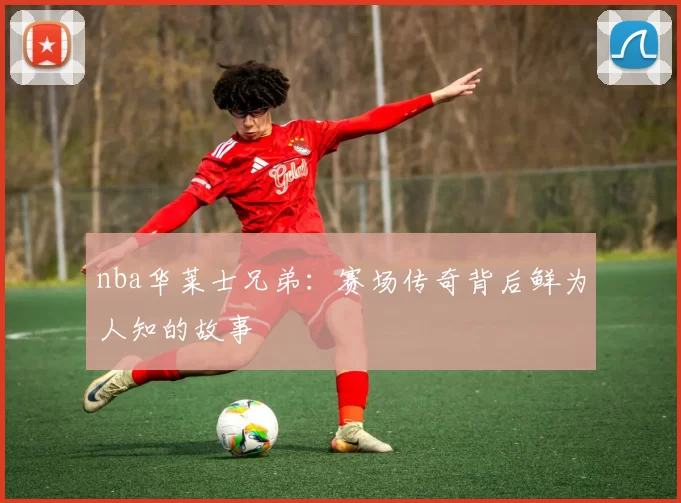 nba华莱士兄弟：赛场传奇背后鲜为人知的故事