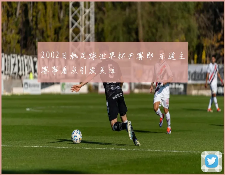 2002日韩足球世界杯开赛即 东道主赛事看点引发关注