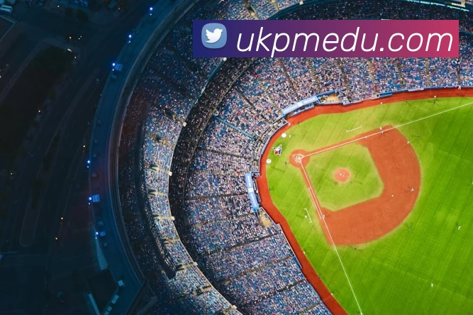 App Interface Preview